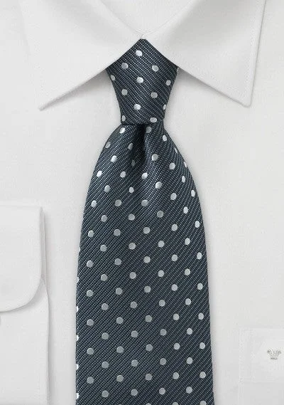 Men's tie for holiday celebrations with rich color palette-Steel-Silver Polka Dot Necktie