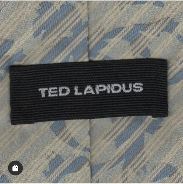 Best silk tie for business professionals-Ted Lapidus tie